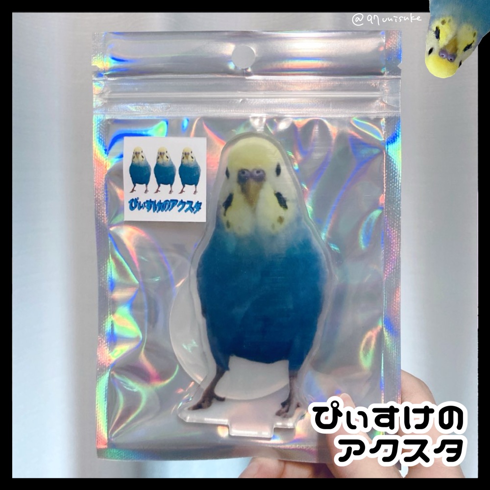 ぴぃすけのアクスタ