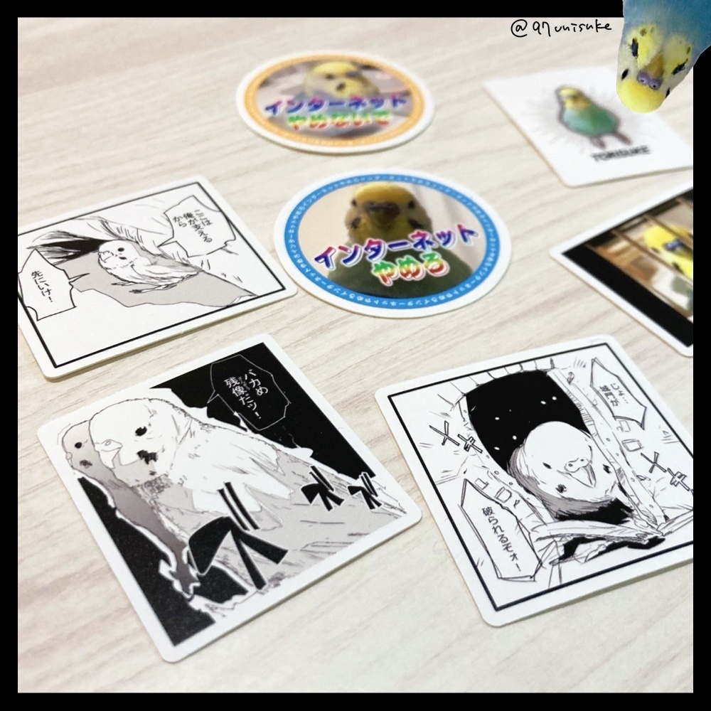 トリのステッカー(全7種+2枚セット)