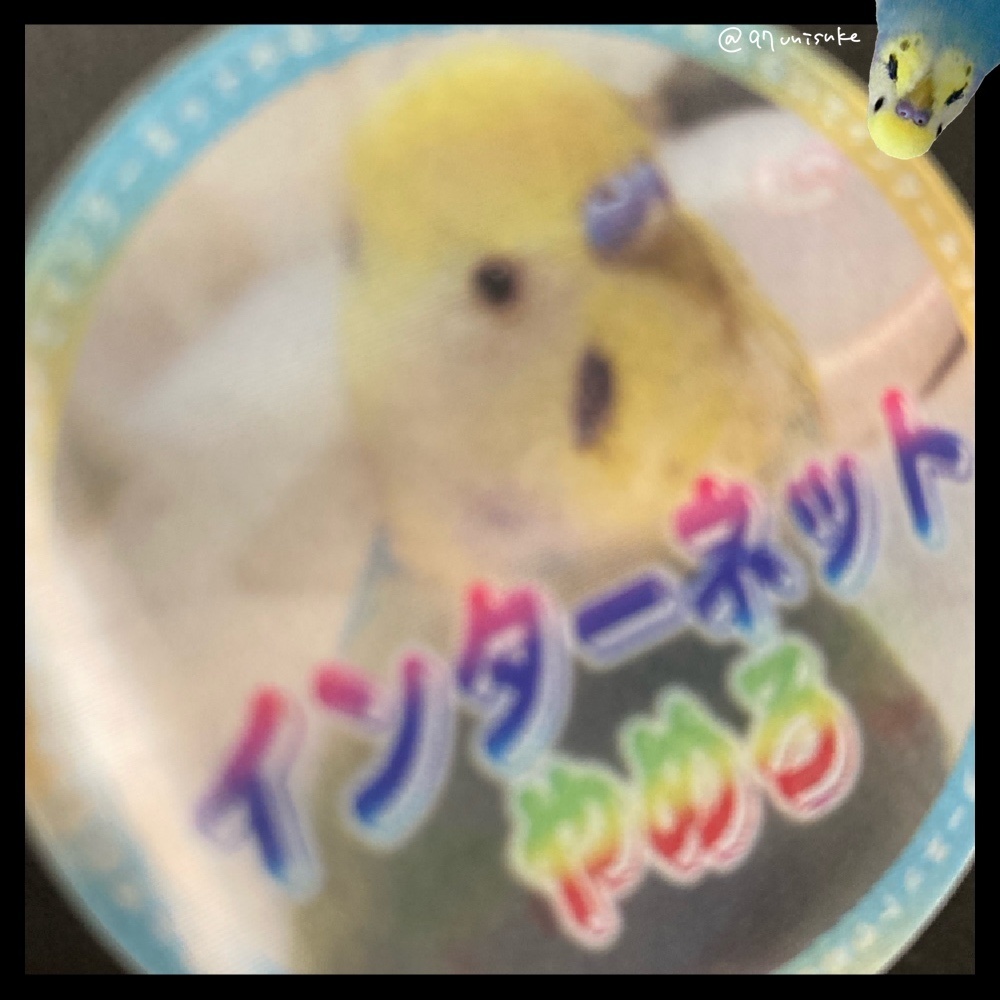 インターネットやめろ↔︎やめないで レンチキュラーステッカー