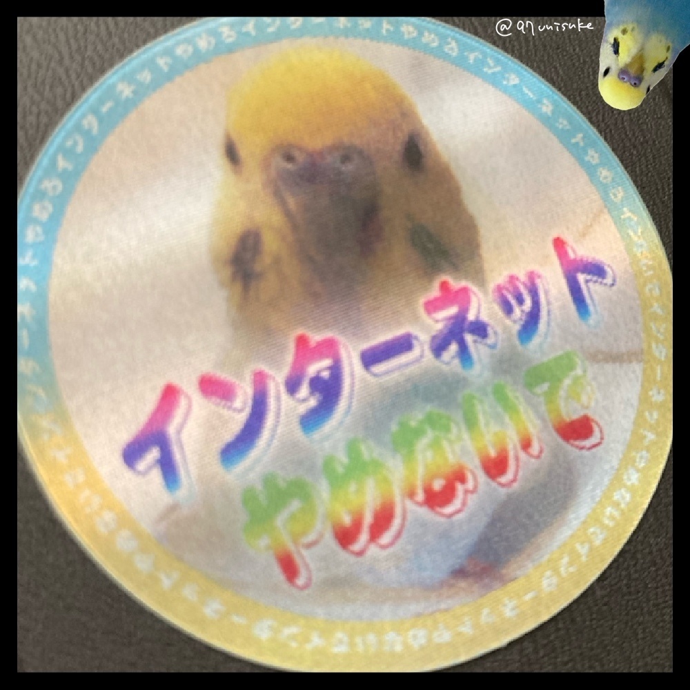 インターネットやめろ↔︎やめないで レンチキュラーステッカー