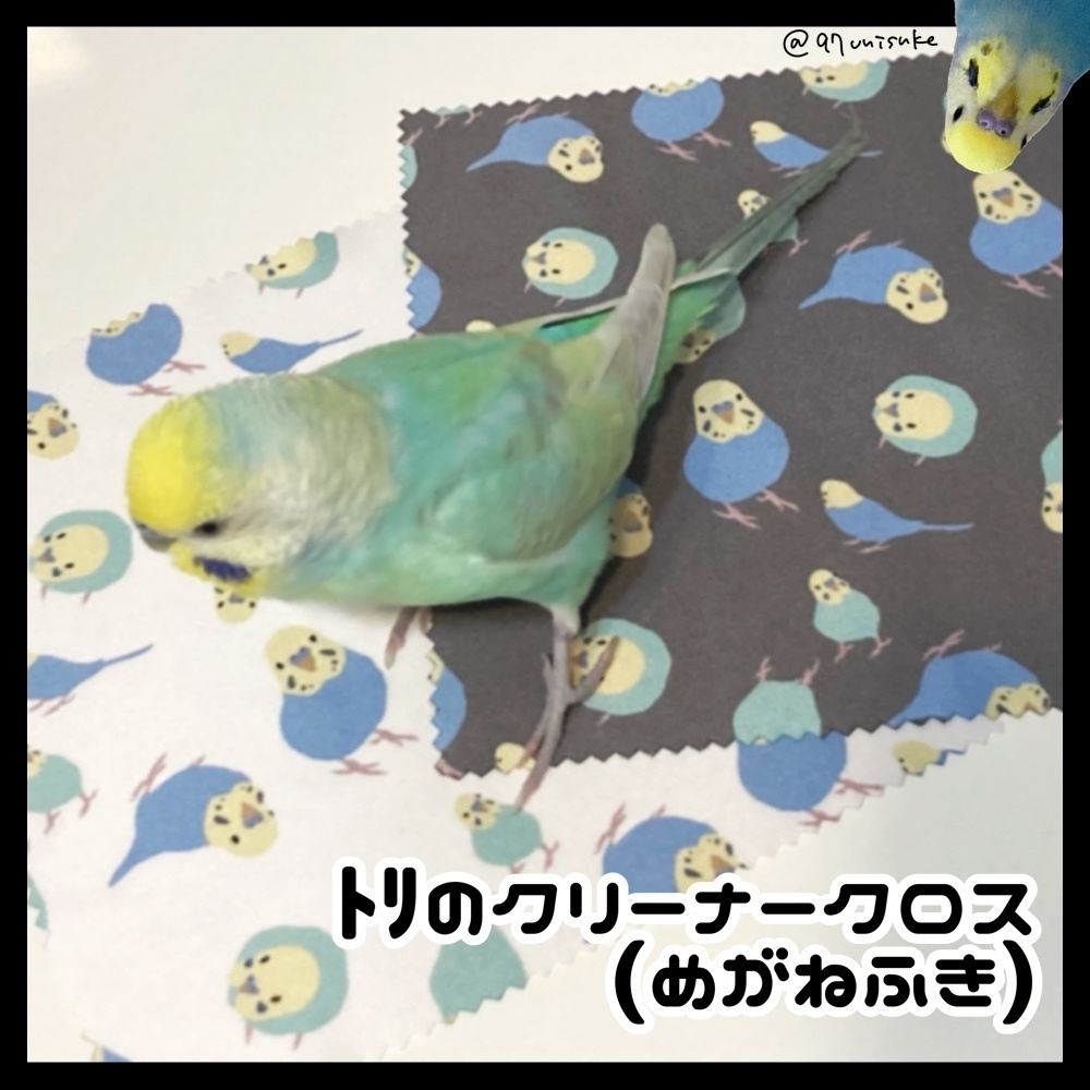 ﾄﾘのクリーナークロス(めがねふき)