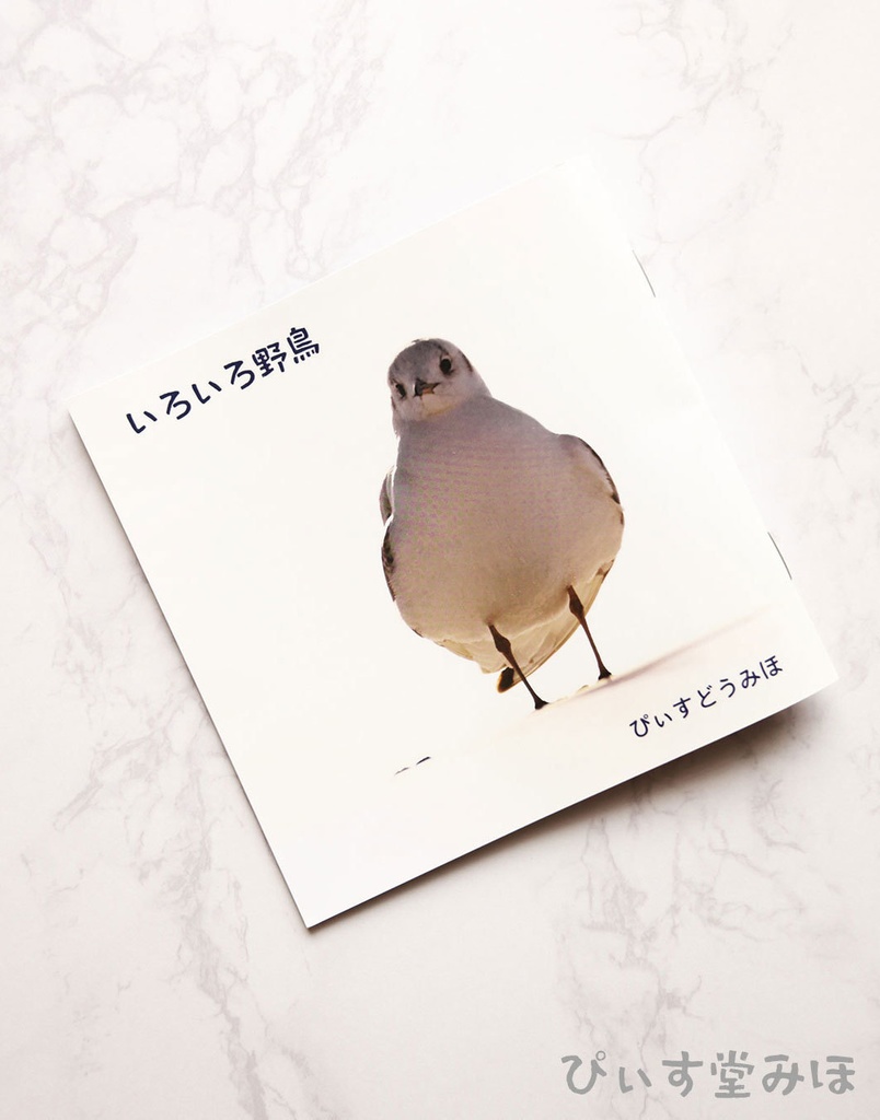 【写真集】いろいろ野鳥