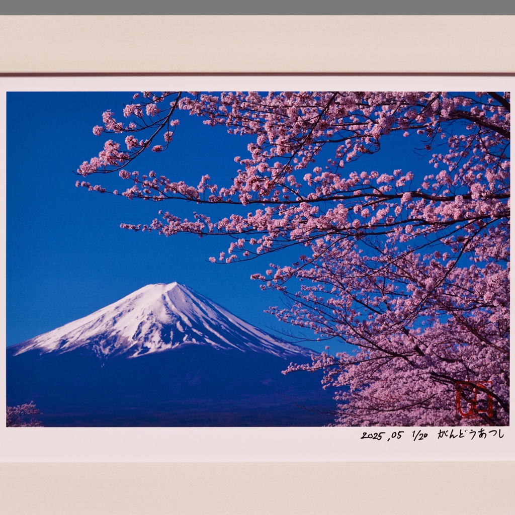 ●『桜と富士山』●がんどうあつし写真撮影・編集落款サイン入り20枚限定A4額装品