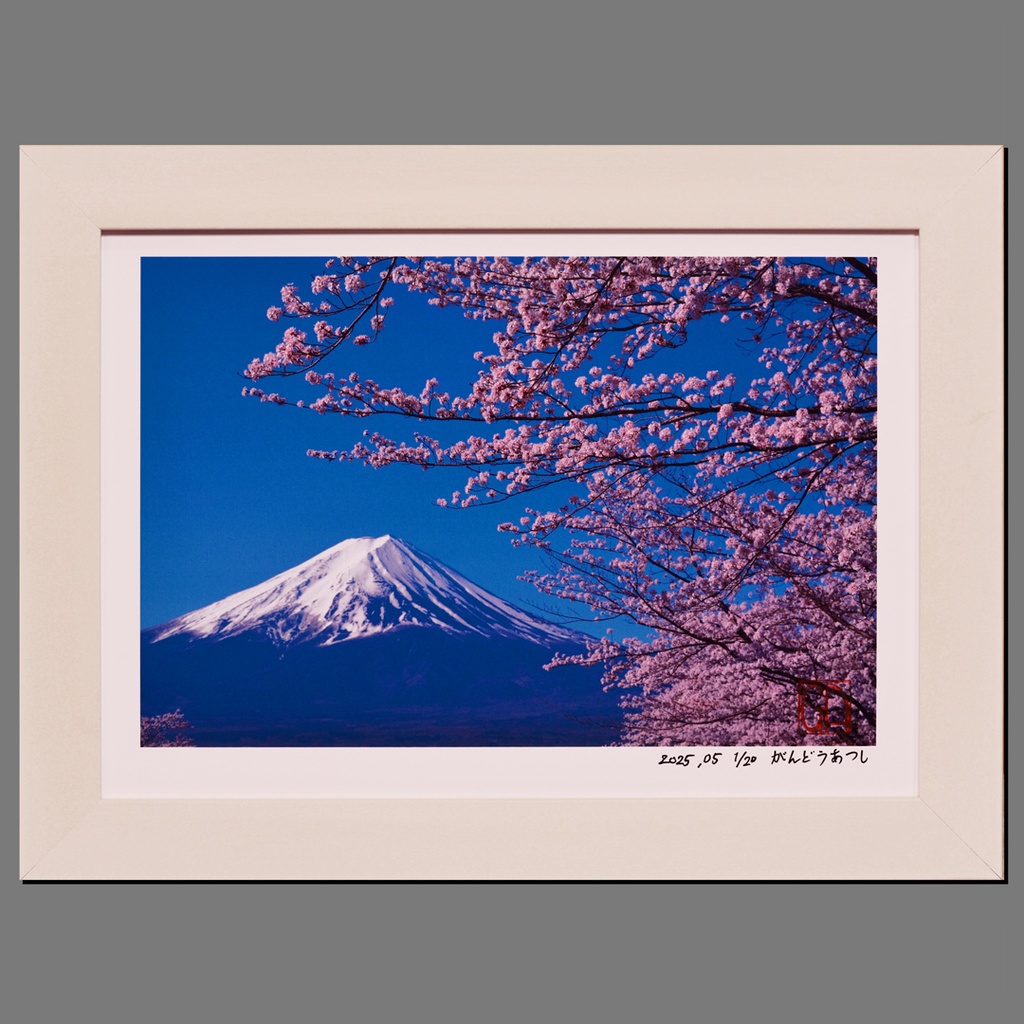 ●『桜と富士山』●がんどうあつし写真撮影・編集落款サイン入り20枚限定A4額装品
