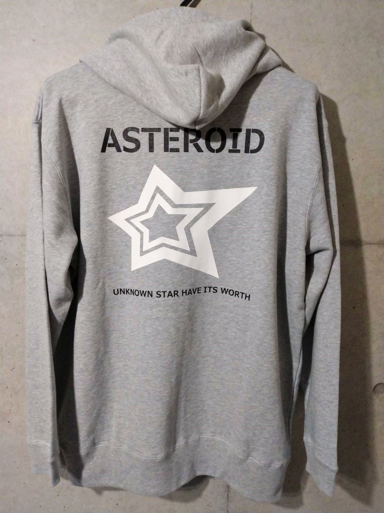 BIGSTAR ZIP HOOD