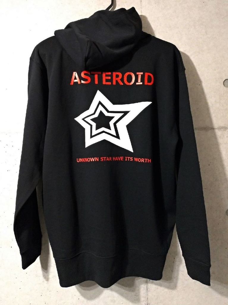 BIGSTAR ZIP HOOD