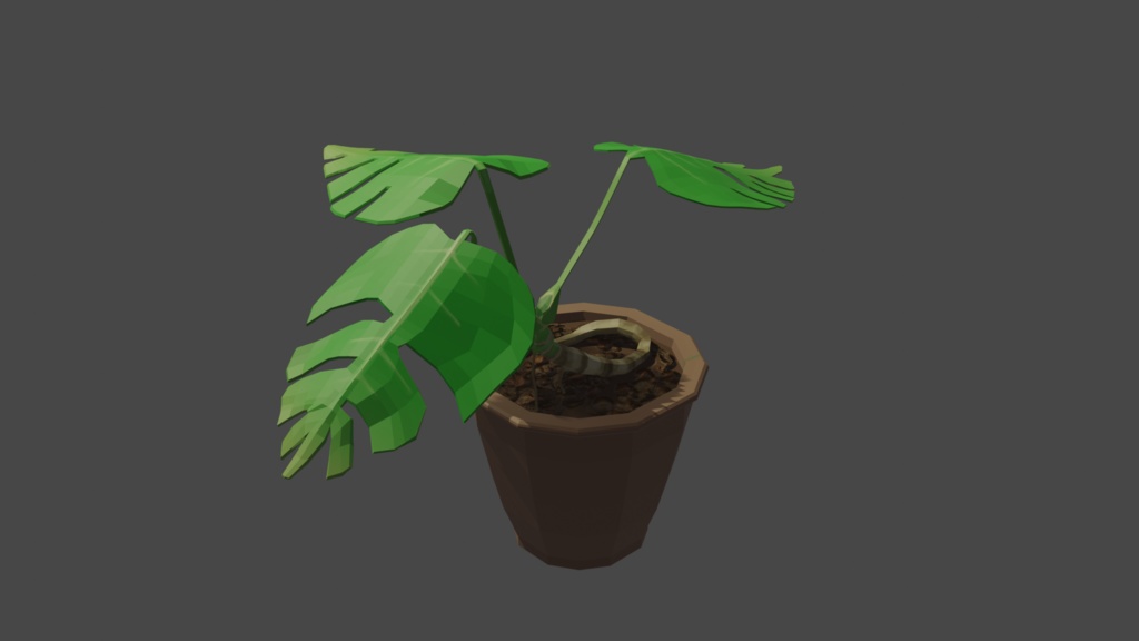 【観葉植物シリーズ】モンテスラ