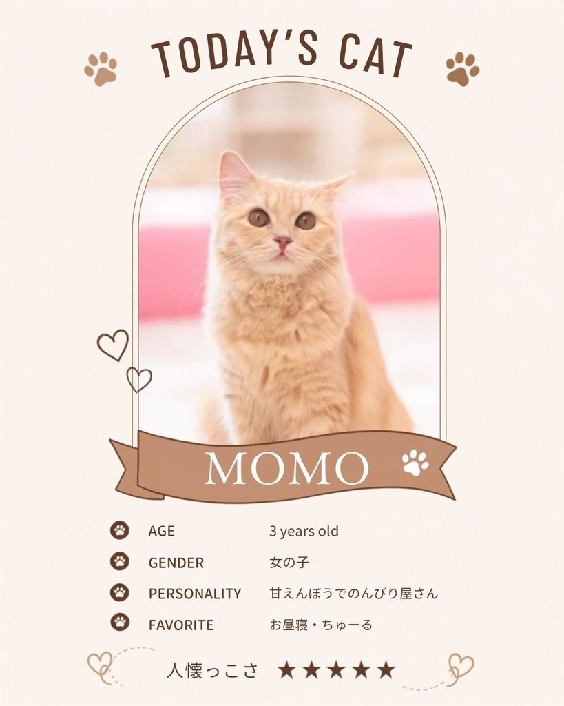 【Canva編集可能】猫カフェver Instagramテンプレート10枚