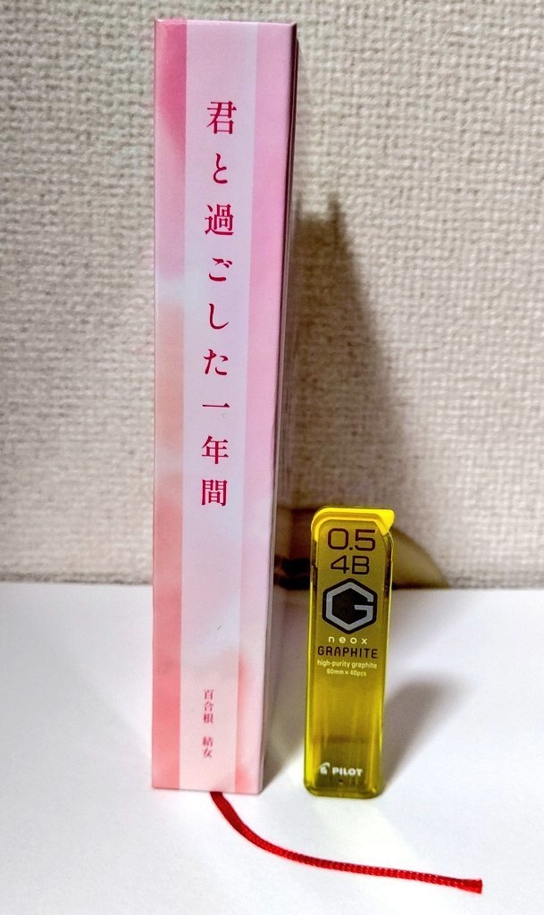 君と過ごした一年間【新装版】