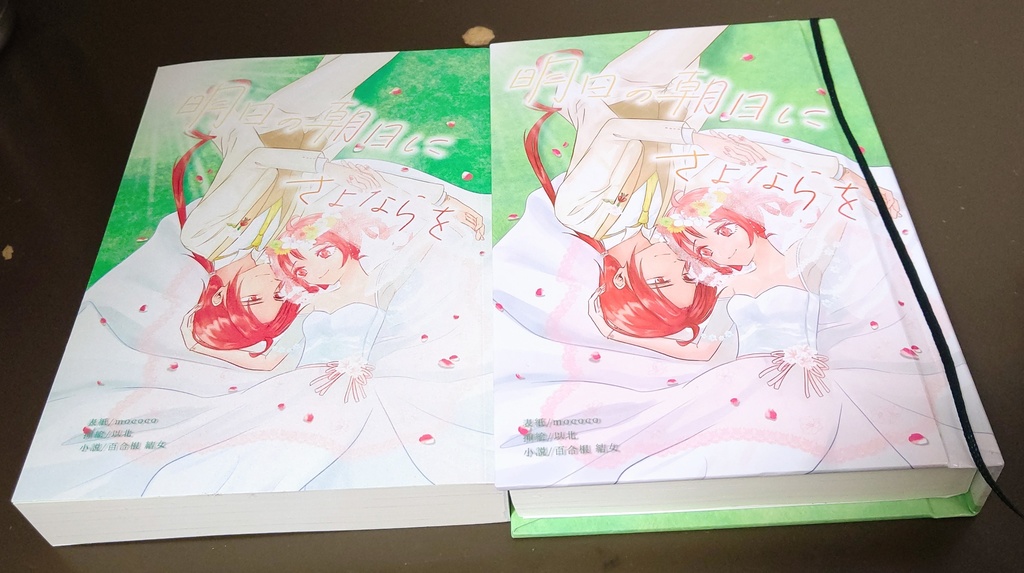 明日の朝日にさよならを【キャプション必読!】