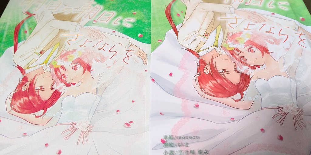 明日の朝日にさよならを【キャプション必読!】