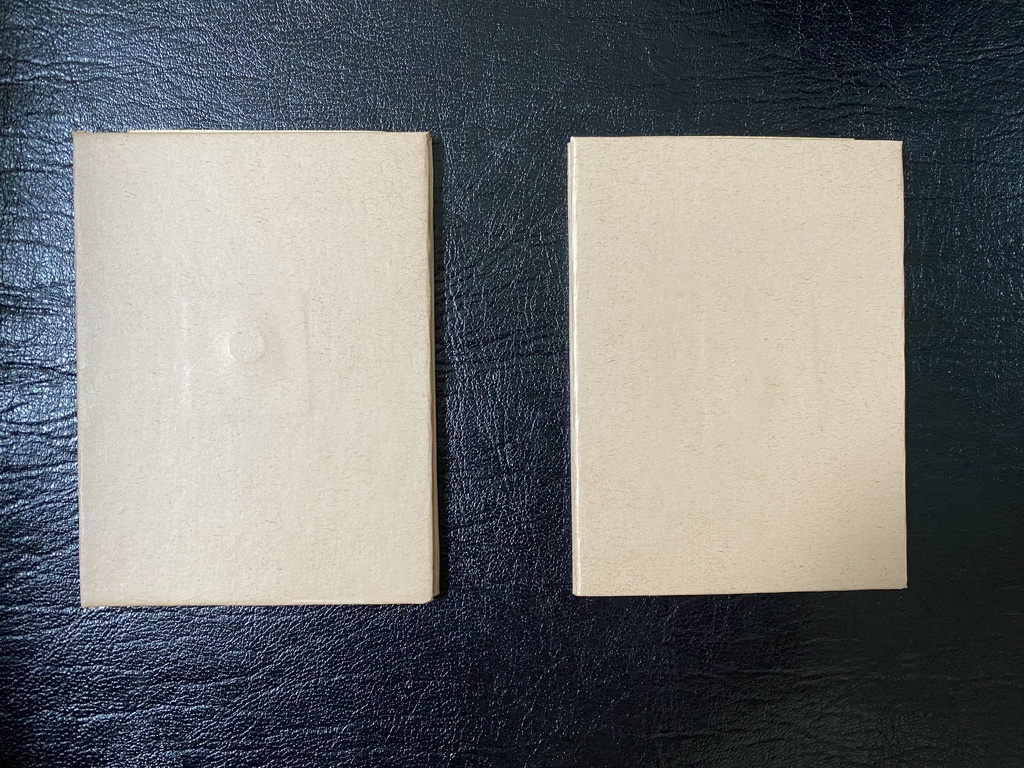 夜の茶トラのぶち猫