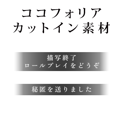 【ココフォリア素材】「秘匿を送りました」「描写終了、ロールプレイをどうぞ」