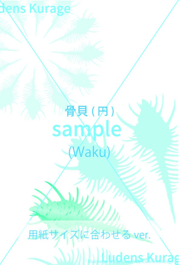はがき:貝