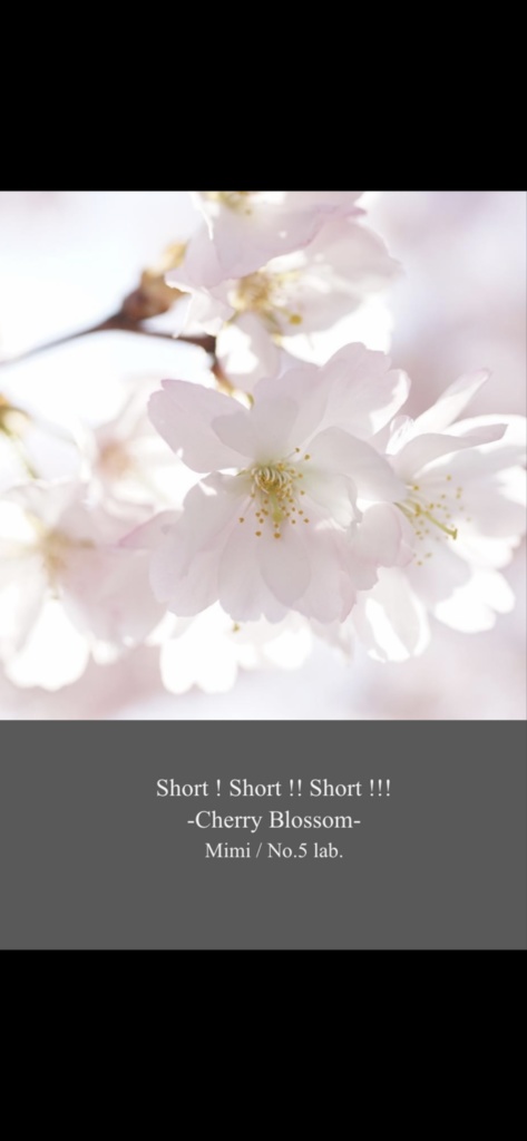Short! Short!! Short!!! - cherry blossom-