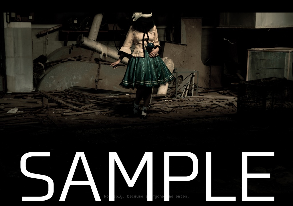 【例大祭19】こいし写真集「The Lost Girl.」