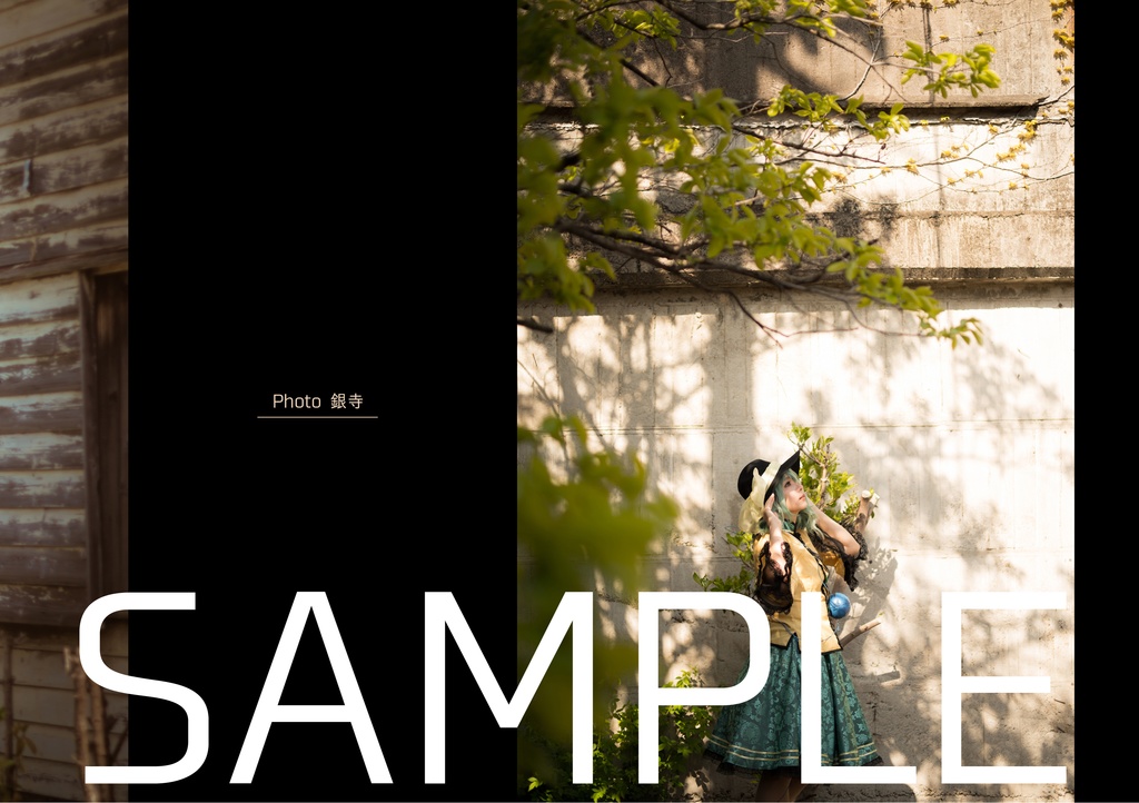 【例大祭19】こいし写真集「The Lost Girl.」