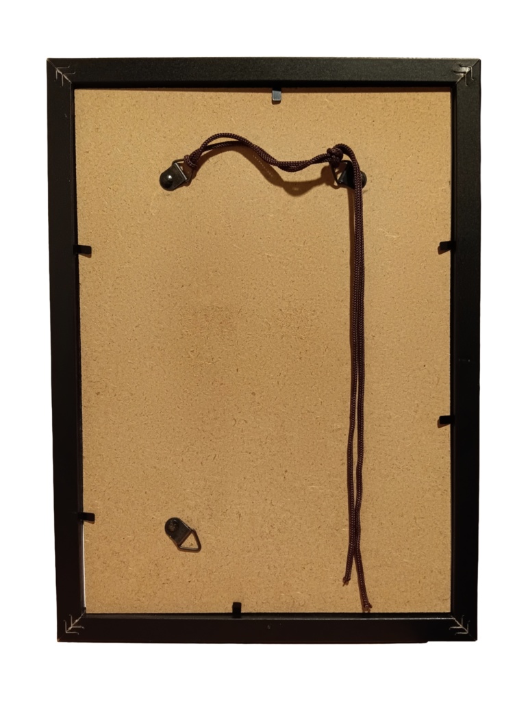 【原画】"昆虫観察"