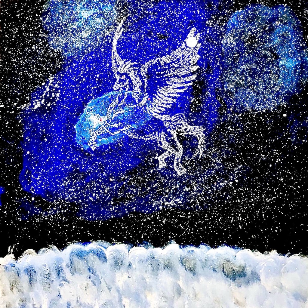 煌めく夜空に白い馬