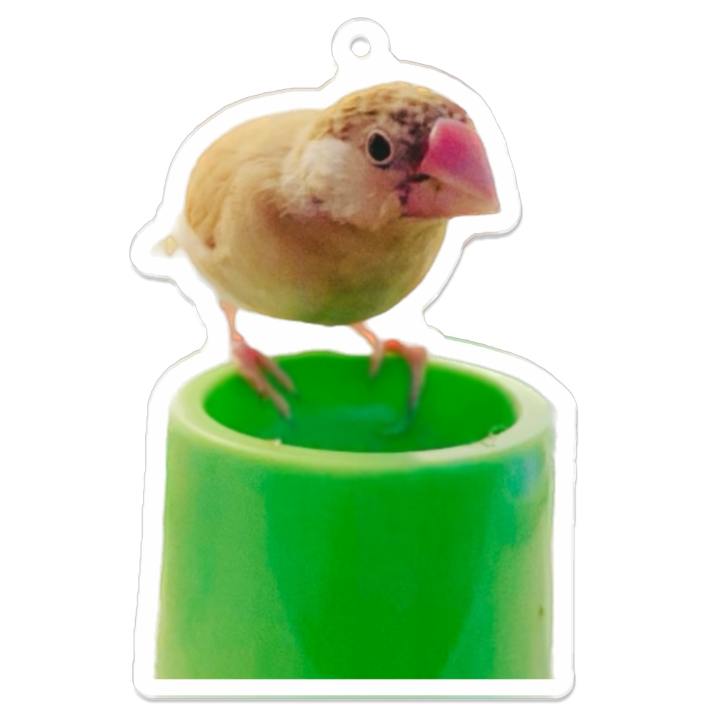 アクリルキーホルダー【まめち①】