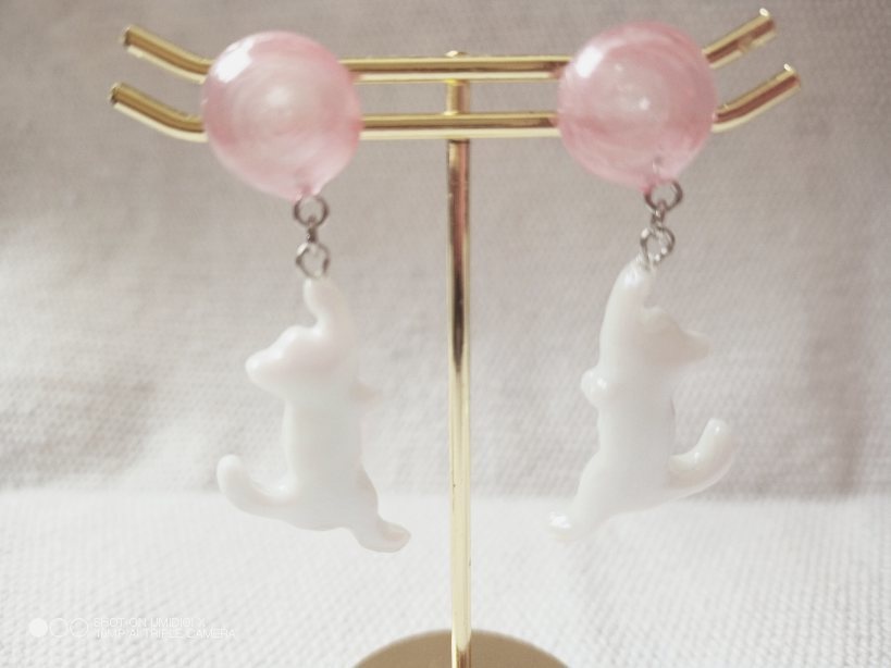 戯れる白猫ピアス