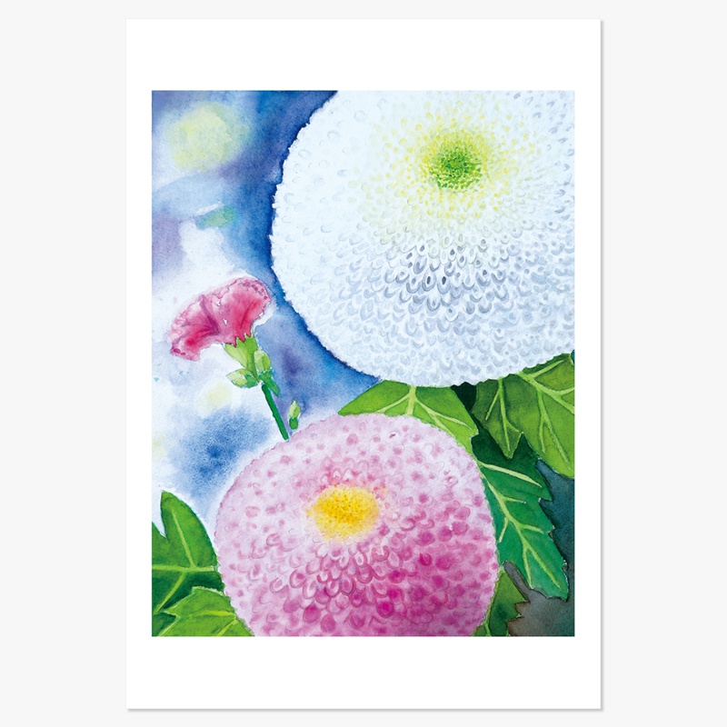 「ポンポン菊とカーネーション」ポストカード / "Pom-pom Mums and a Carnation" Post Card