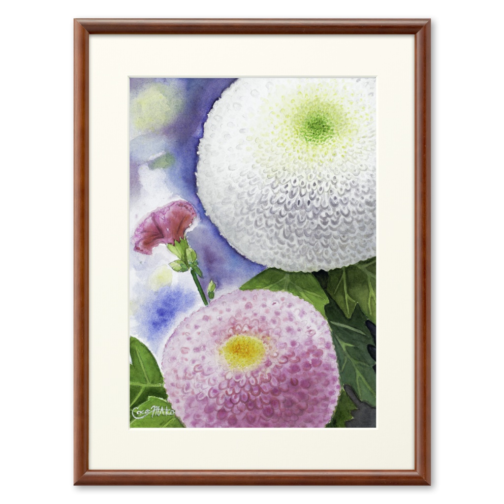 水彩画「ポンポン菊とカーネーション」高画質複製画 / "Pom-pom Mums and a Carnation" (High-Quality Printing)