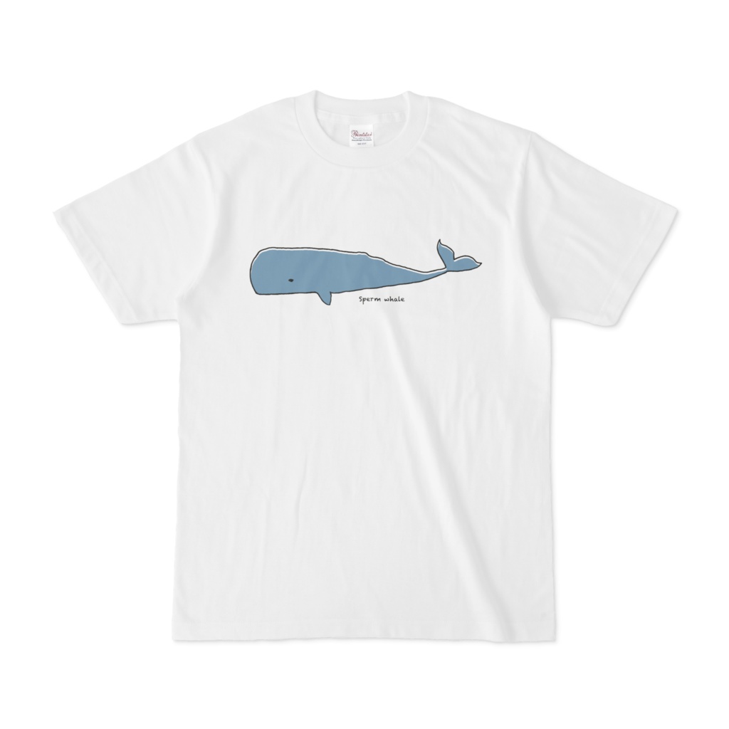 クジラT(カラー)
