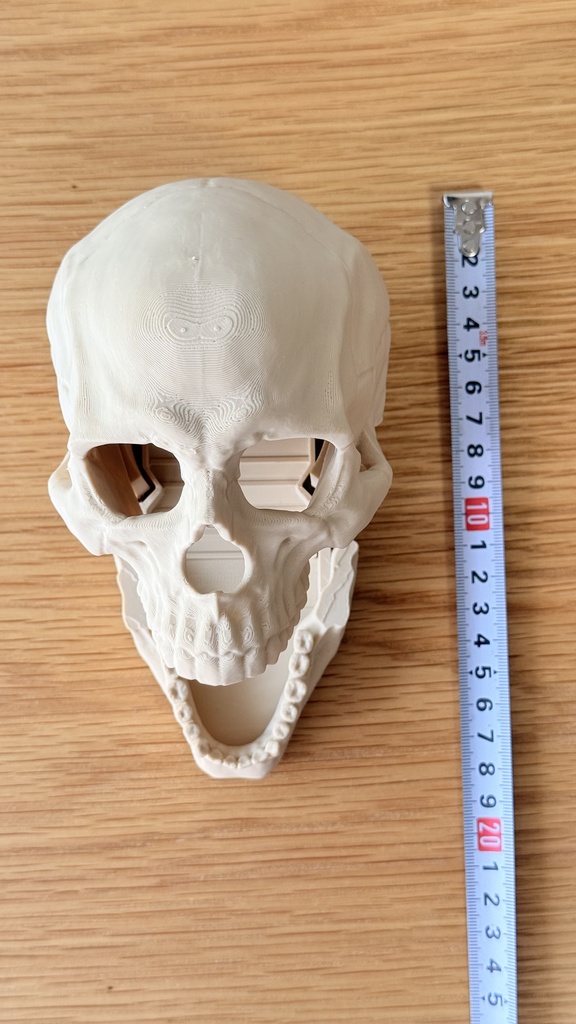 簡単リロール ダイスタワー|スカル|ボードゲーム用|3Dプリント品