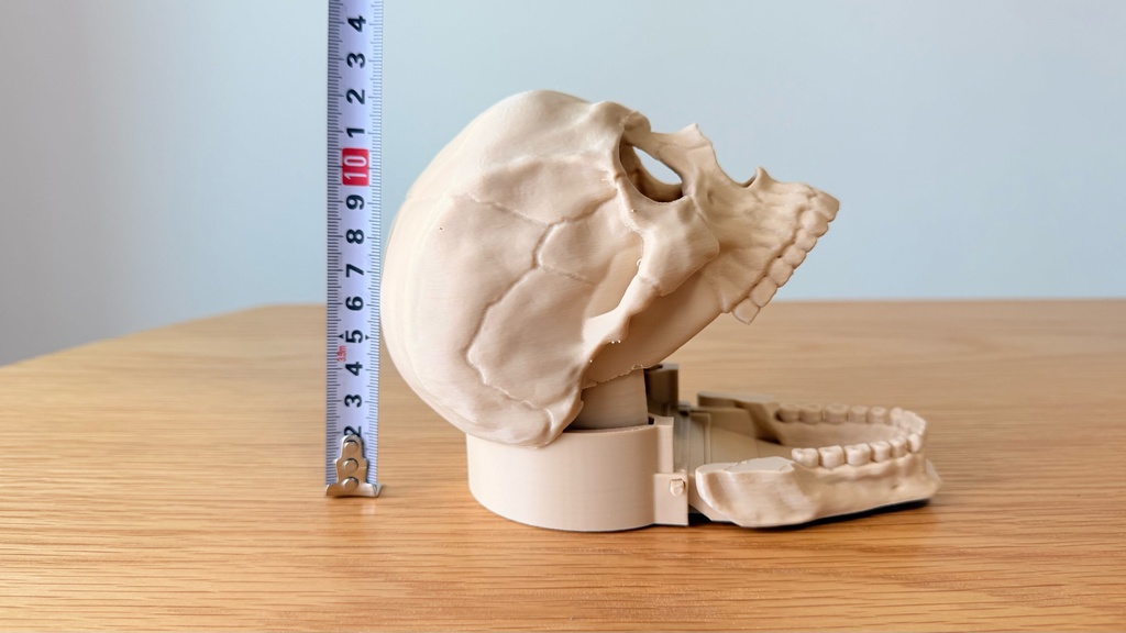 簡単リロール ダイスタワー|スカル|ボードゲーム用|3Dプリント品