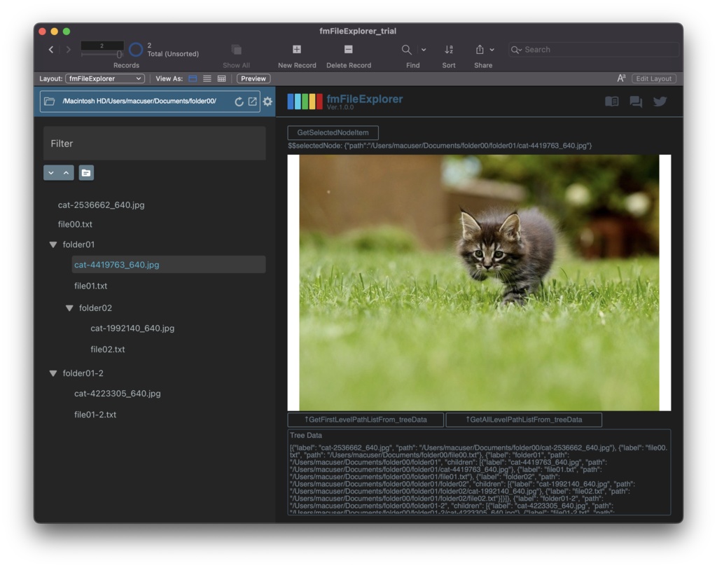fmFileExplorer FileMaker上でディレクトリを表示