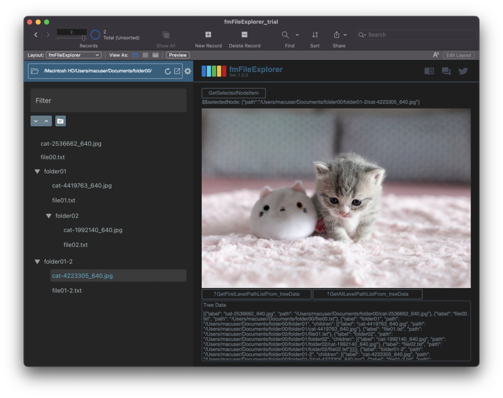 fmFileExplorer FileMaker上でディレクトリを表示