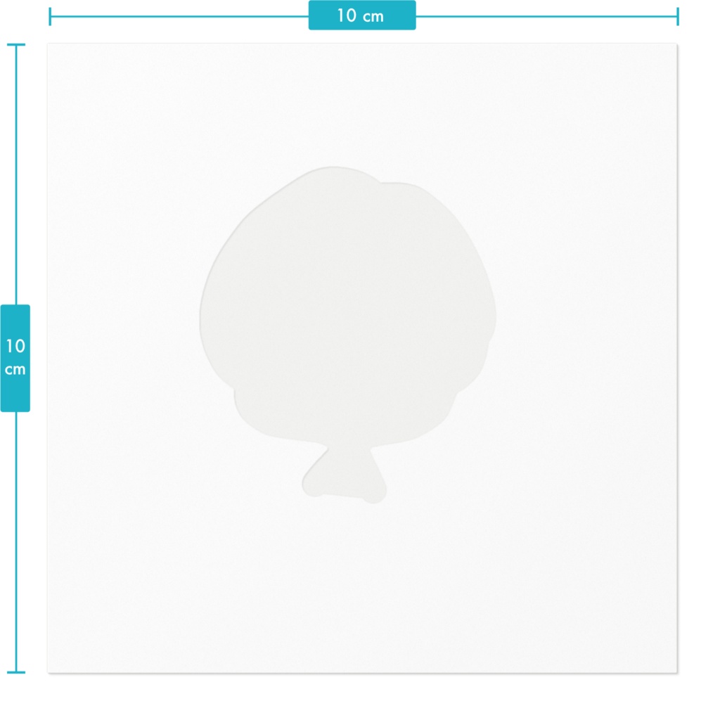 ヒラチイカワチイステッカー②