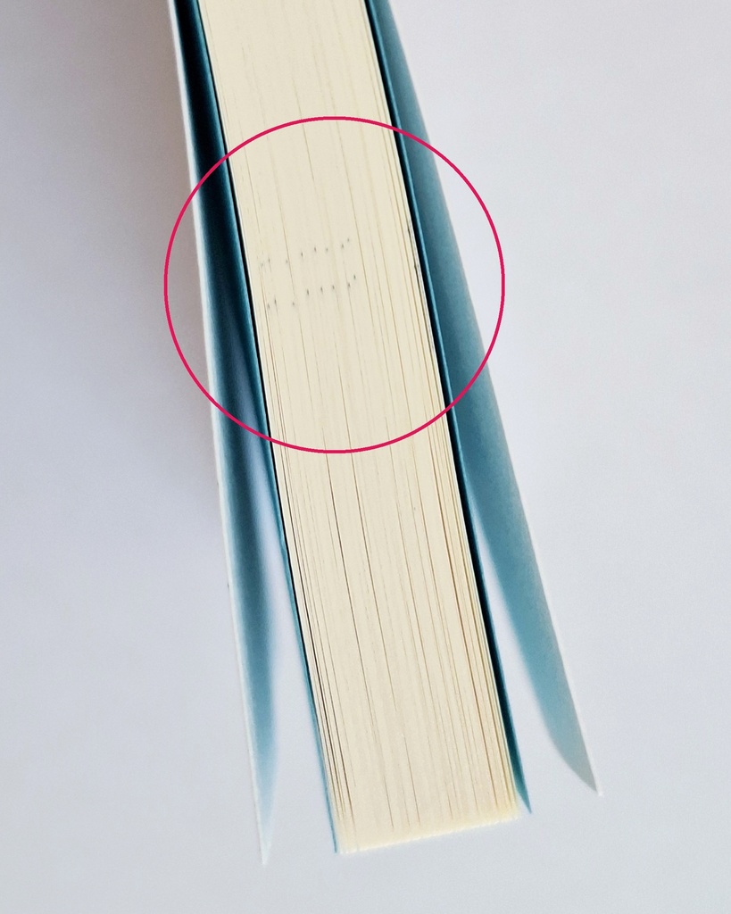 【HQ / 再版】ディア・トランスペアレント