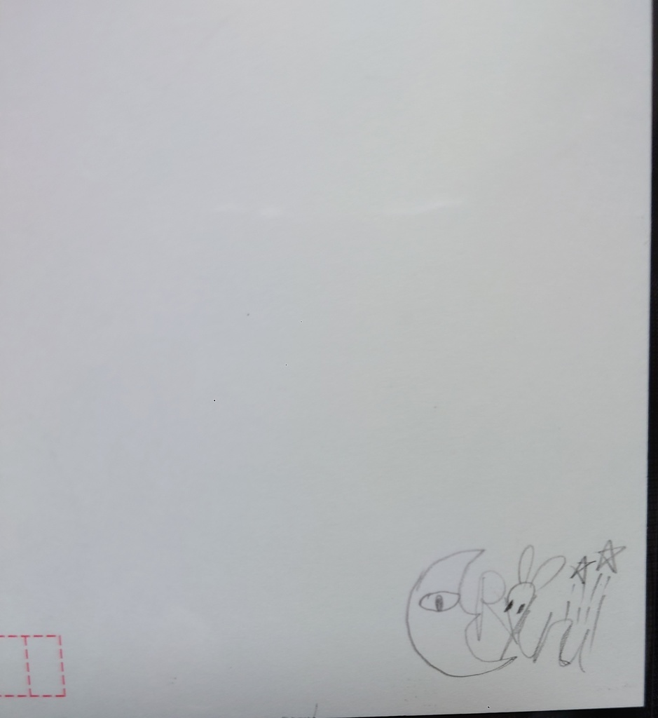 【一点物】鉛筆画イラスト 夏シリーズ(前編)2種 ポストカード直書きサインあり