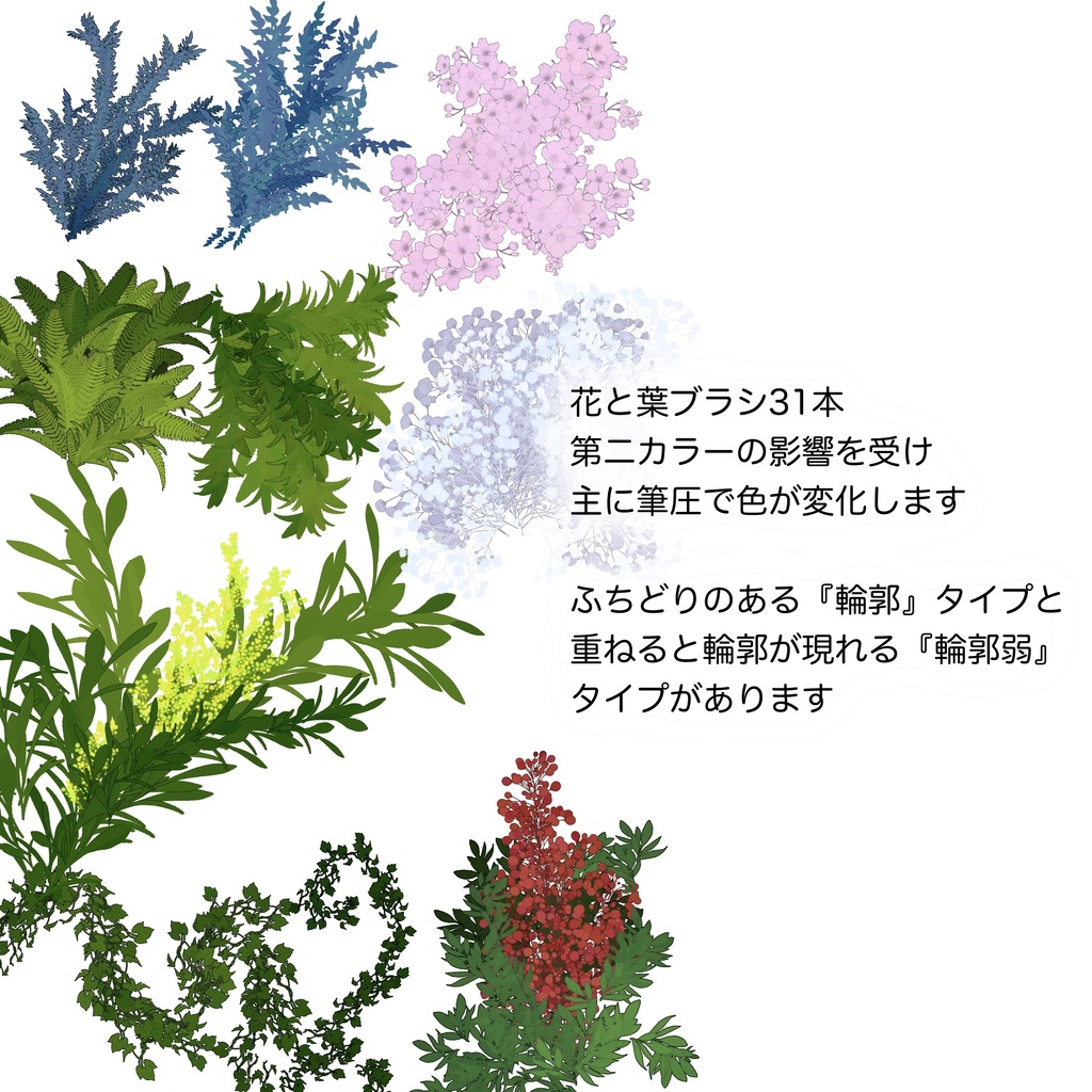 🌳植物ブラシ🌿