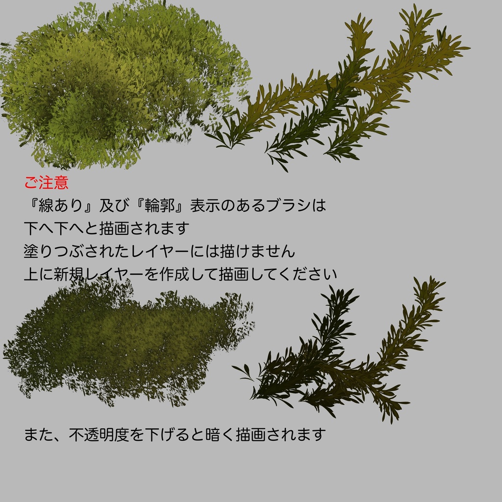 🌳植物ブラシ🌿