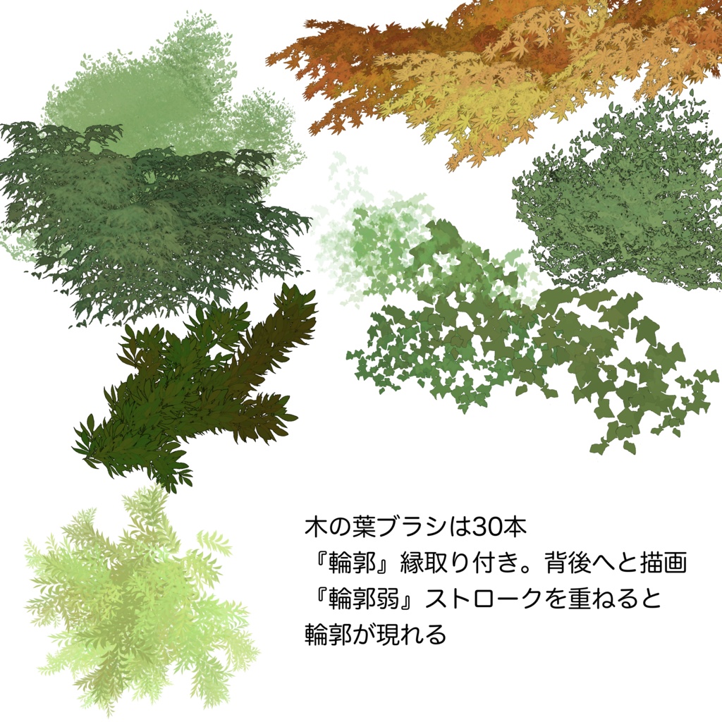 🌳植物ブラシ🌿