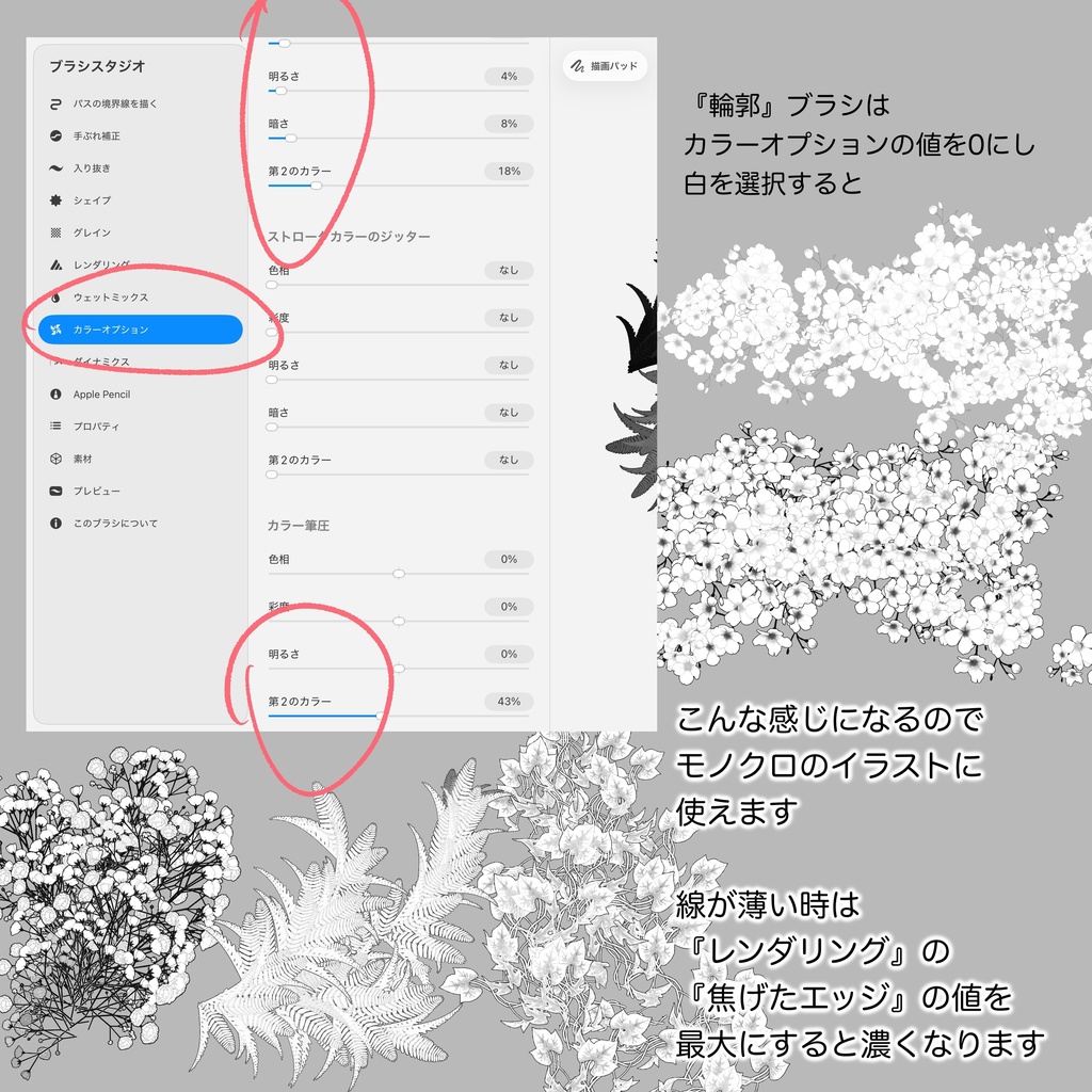 🌳植物ブラシ🌿