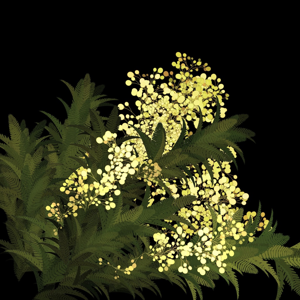 🌳植物ブラシ🌿