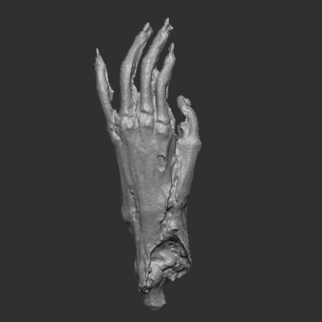 【完成品フィギュア】前田家所蔵「河童の手」レプリカ