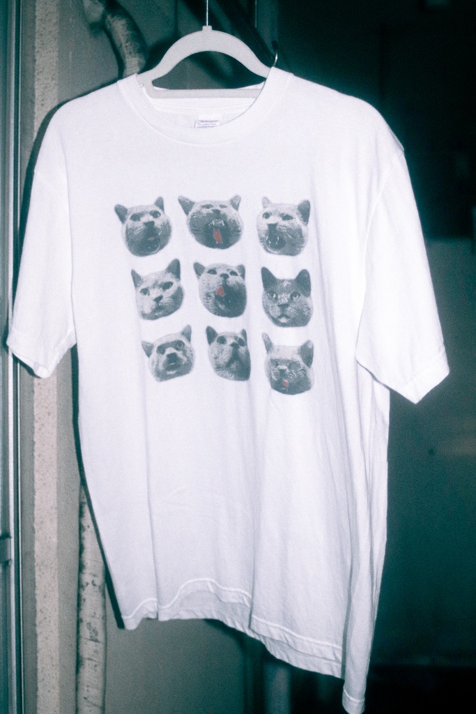 初ウイういウイゥィぅぃゥィUIui Tシャツ White (by.pixivFACTORY)