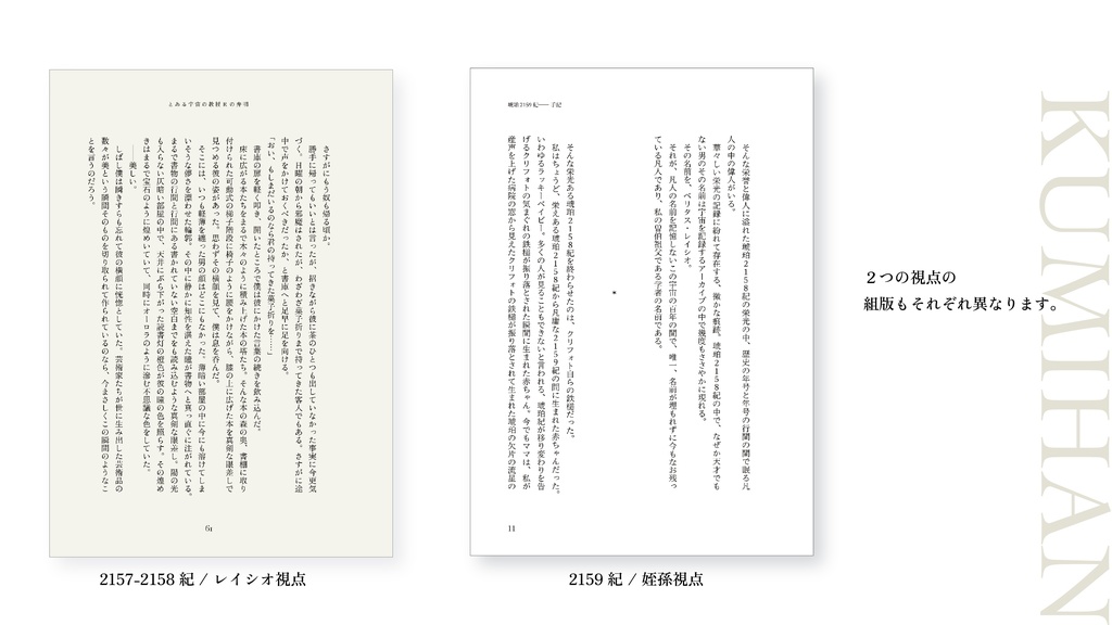 とある宇宙の教授Rの弁明(レイチュリ)※再販版