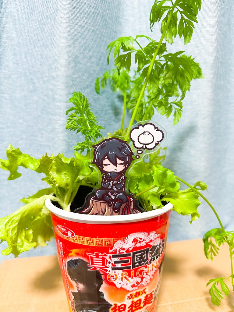 紫鸞(無名)アクリルスタンド・アクリルピック・小物チャーム