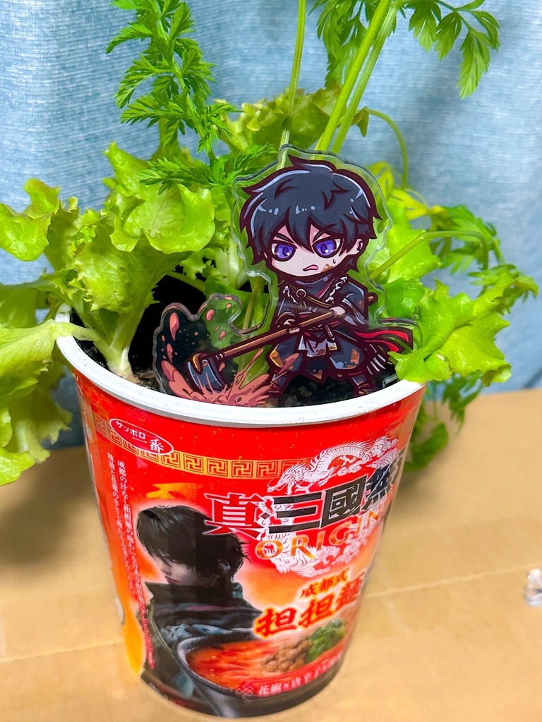 紫鸞(無名)アクリルスタンド・アクリルピック・小物チャーム