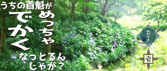 【忍神】過去作まとめ01