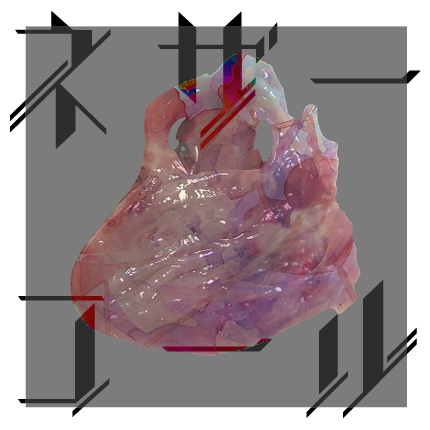 【忍神】過去作まとめ01
