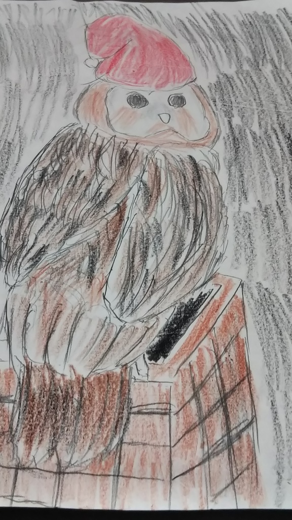 モリフクロウのサンタさん