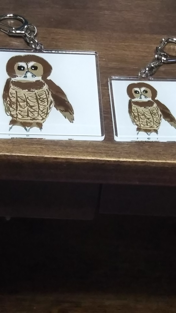 オオフクロウアクキーセット