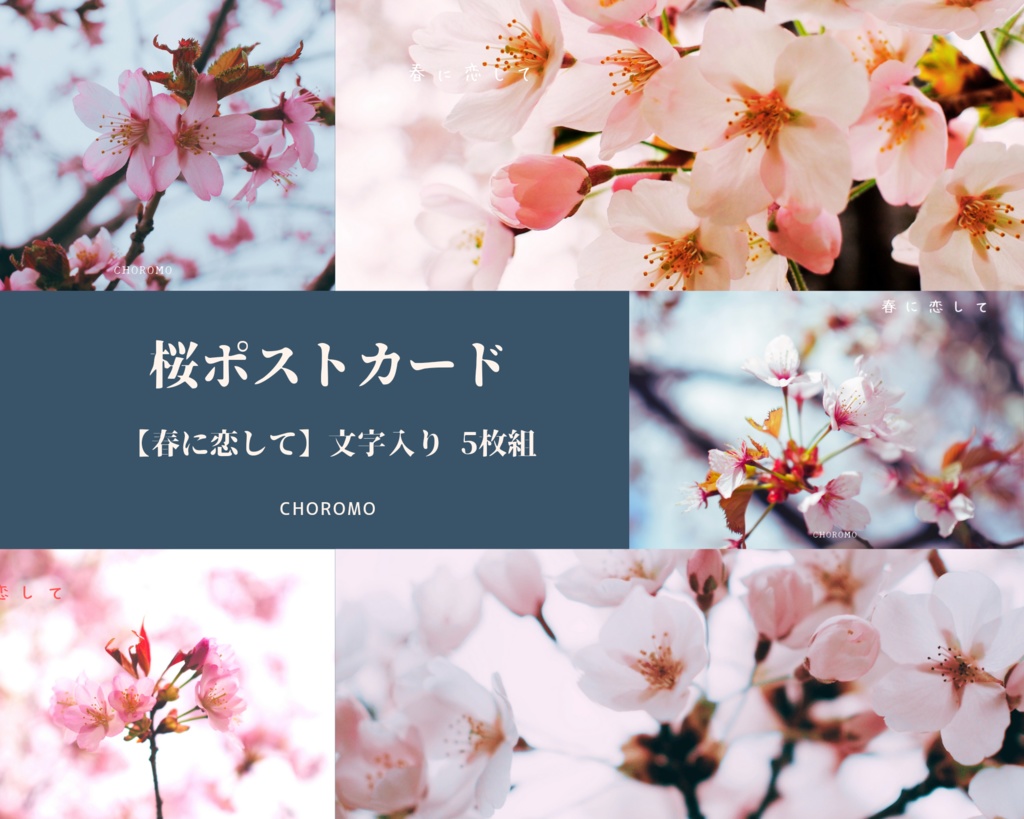 桜 写真 ポストカード　文字入り5枚組